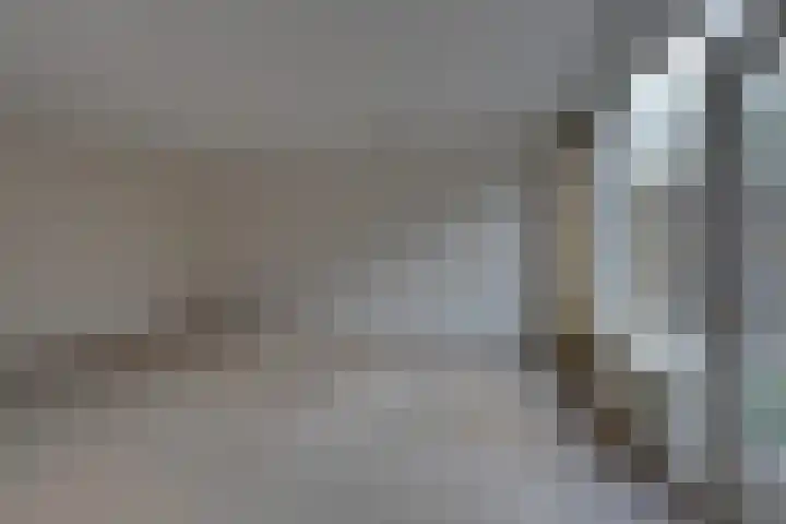 Grevelingen 146 Alkmaar thumbnail 10
