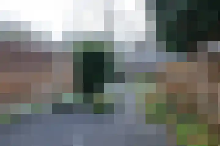 Grevelingen 146 Alkmaar thumbnail 18