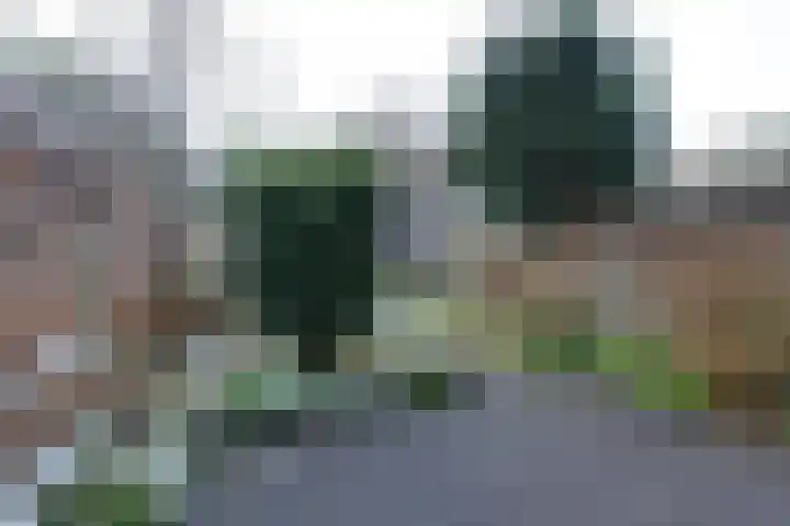 Grevelingen 146 Alkmaar thumbnail 19