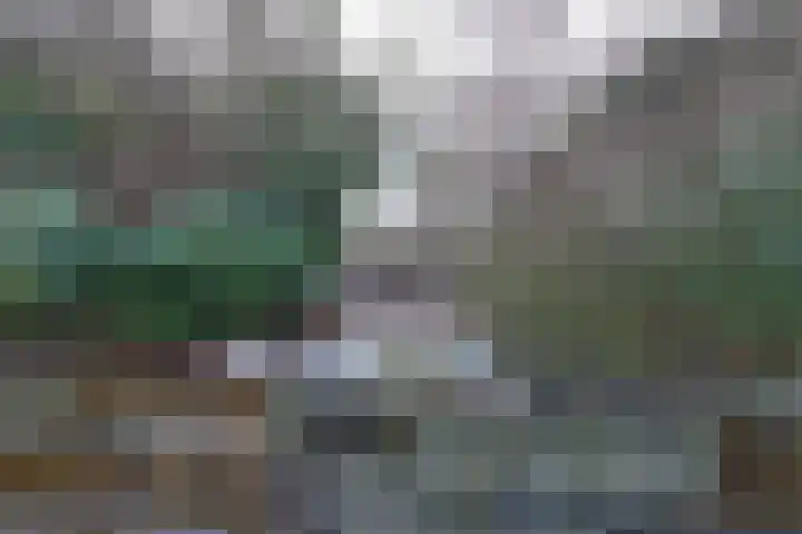 Grevelingen 146 Alkmaar thumbnail 20