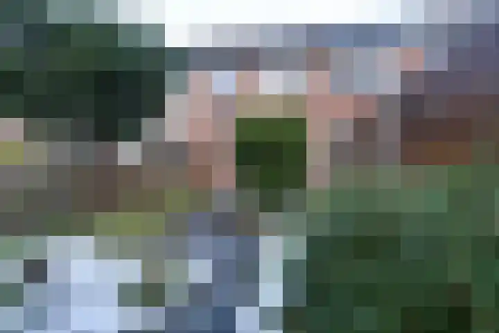 Grevelingen 146 Alkmaar thumbnail 21