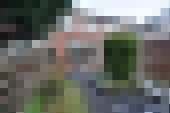 Grevelingen 146 Alkmaar thumbnail 22