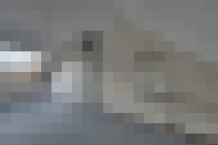 Grevelingen 146 Alkmaar thumbnail 36