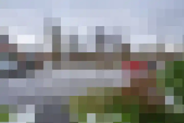 Grevelingen 146 Alkmaar thumbnail 41