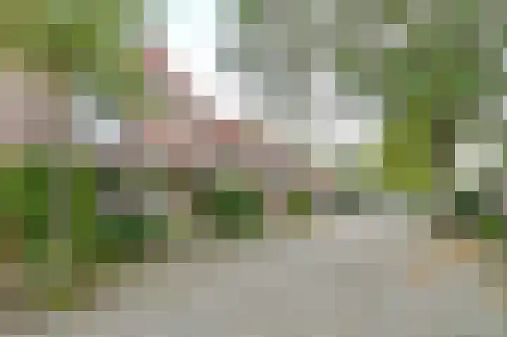 Grevelingen 17 Heemstede thumbnail 34