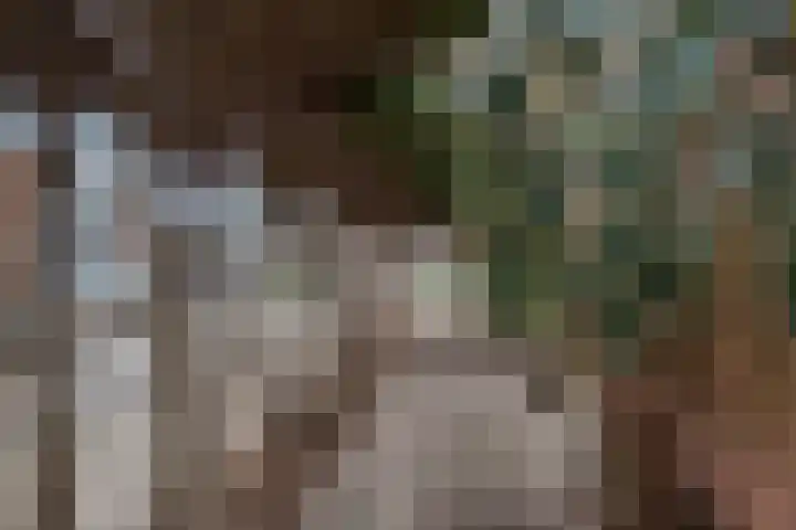 Grevelingen 2 Apeldoorn thumbnail 19