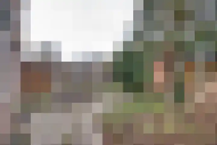 Grevelingen 2 Apeldoorn thumbnail 4