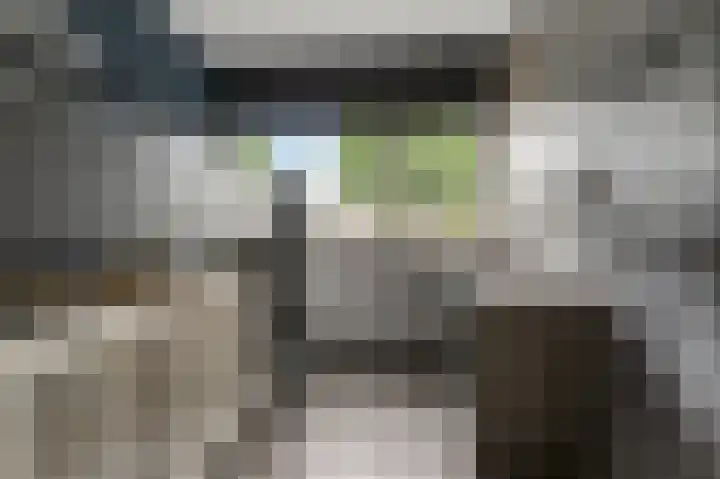 Grevelingen 22 Alphen aan den Rijn thumbnail 16