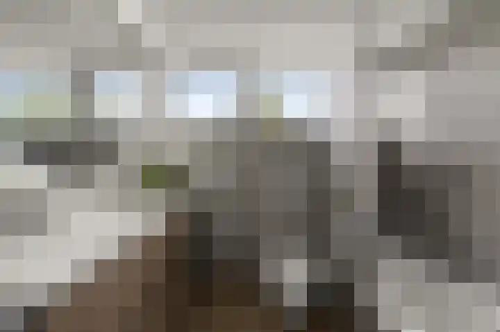 Grevelingen 22 Alphen aan den Rijn thumbnail 18
