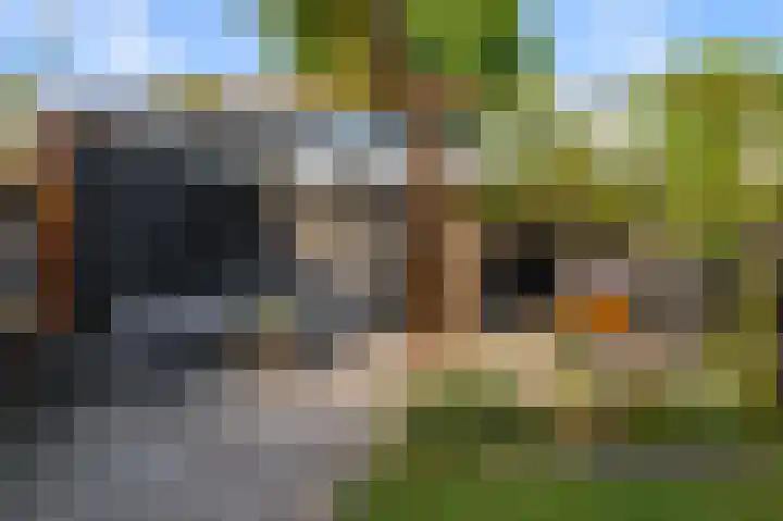 Grevelingen 22 Alphen aan den Rijn thumbnail 24