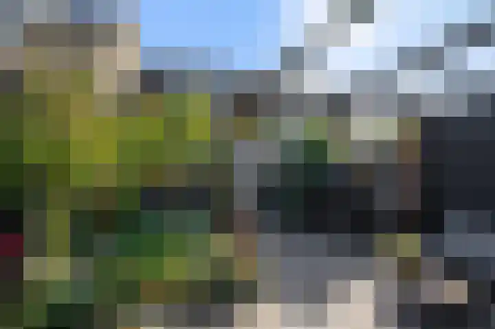 Grevelingen 22 Alphen aan den Rijn thumbnail 27