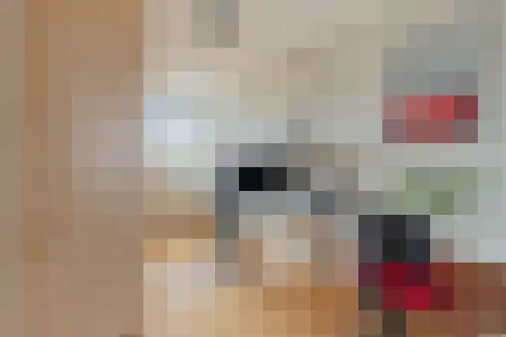 Grevelingen 27 Pijnacker thumbnail 16