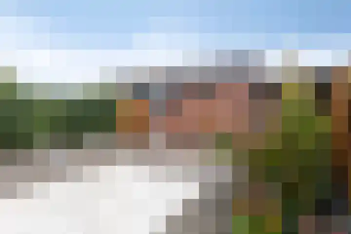 Grevelingen 27 Pijnacker thumbnail 20