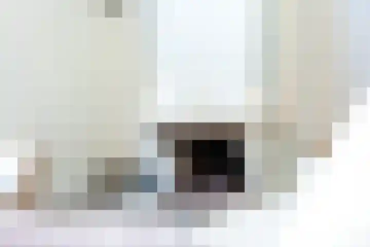 Grevelingen 29 Alkmaar thumbnail 12