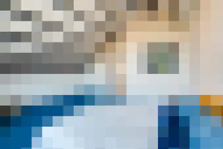 Grevelingen 29 Alkmaar thumbnail 35