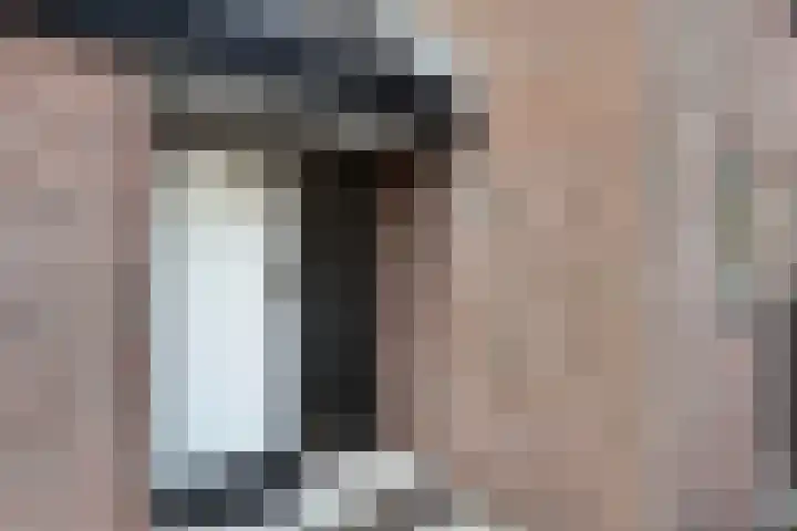 Grevelingen 29 Alkmaar thumbnail 4