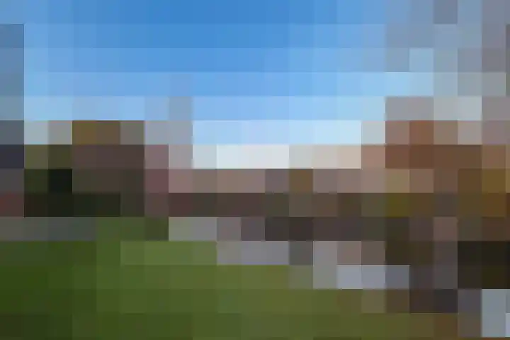 Grevelingen 29 Alkmaar thumbnail 61