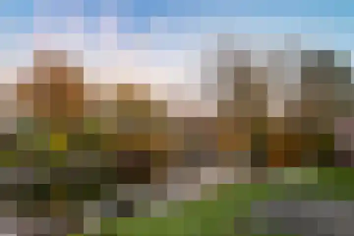 Grevelingen 29 Alkmaar thumbnail 63