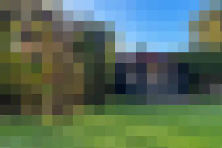 Grevelingen 29 Alkmaar thumbnail 67