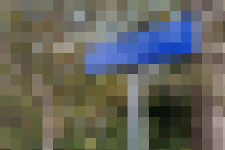 Grevelingen 29 Alkmaar thumbnail 68