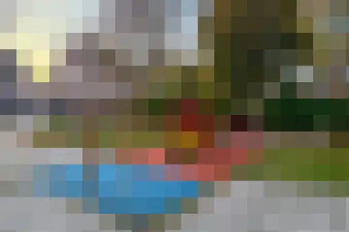 Grevelingen 29 Alkmaar thumbnail 70