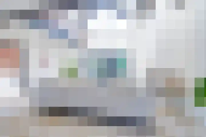 Grevelingen 29 Alkmaar thumbnail 9