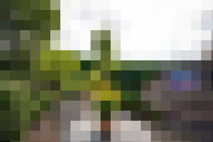Grevelingen 29 Heemstede thumbnail 11