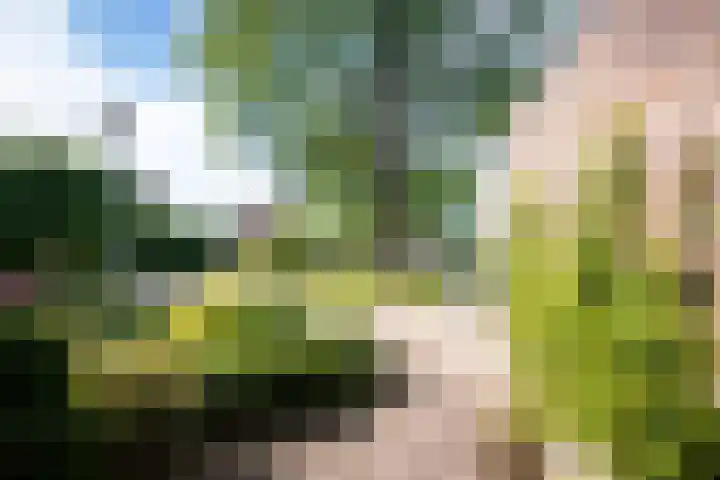 Grevelingen 29 Heemstede thumbnail 35