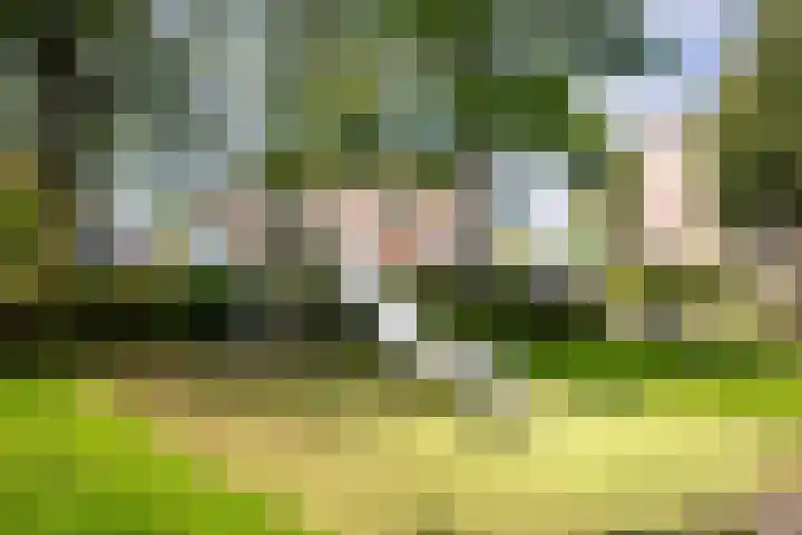Grevelingen 29 Heemstede thumbnail 36