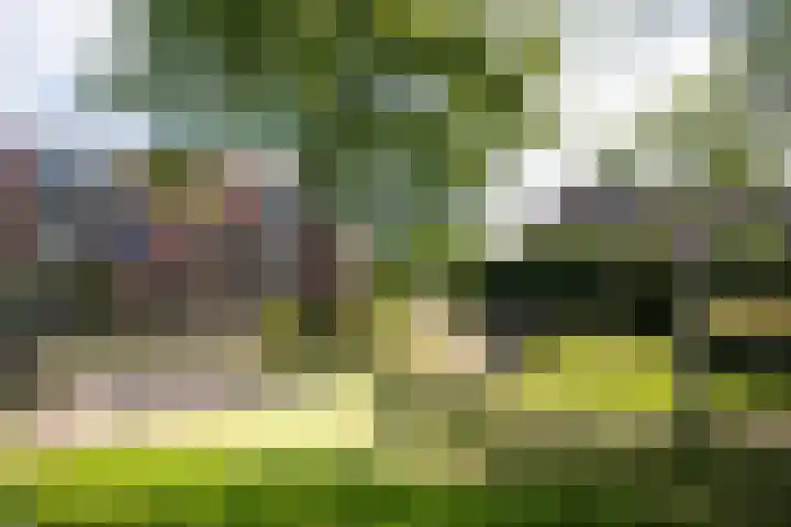 Grevelingen 29 Heemstede thumbnail 37