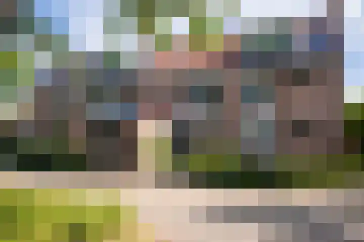 Grevelingen 29 Heemstede thumbnail 5