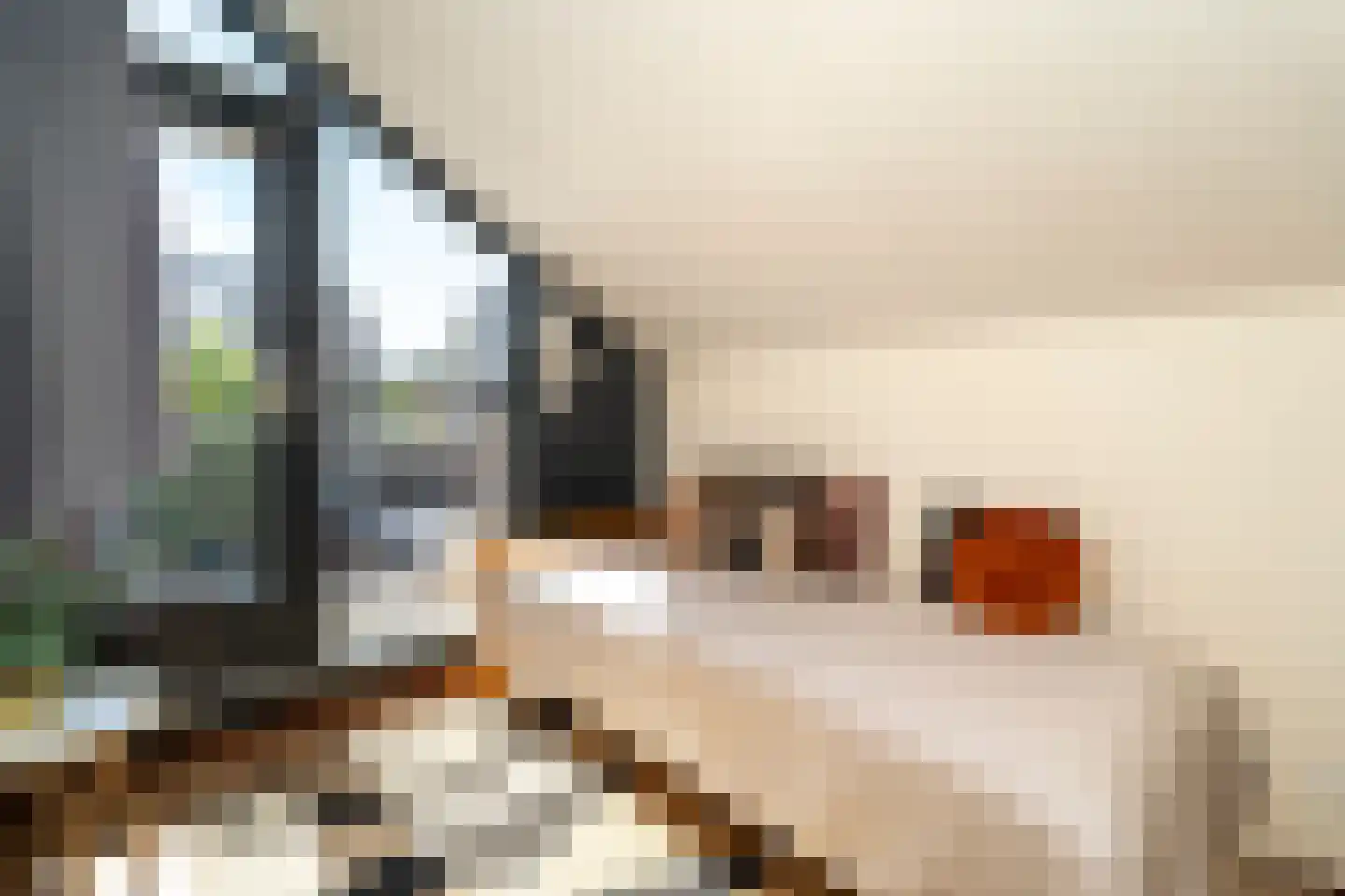 Grevelingen 30 Tilburg thumbnail 32