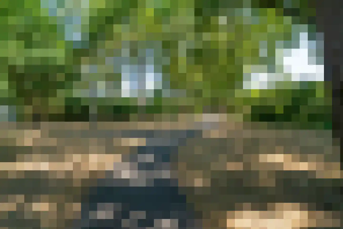 Grevelingen 30 Tilburg thumbnail 64