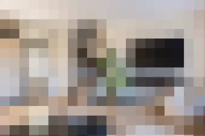 Grevelingen 34 Zwolle thumbnail 10
