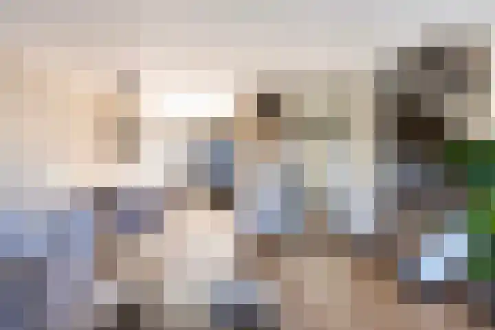 Grevelingen 34 Zwolle thumbnail 12