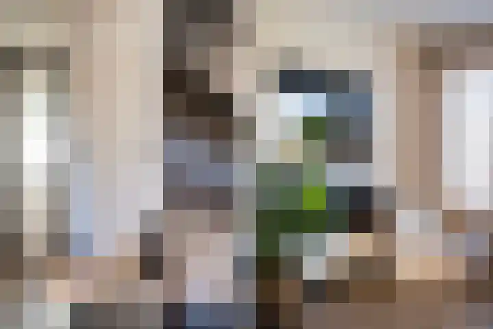 Grevelingen 34 Zwolle thumbnail 13