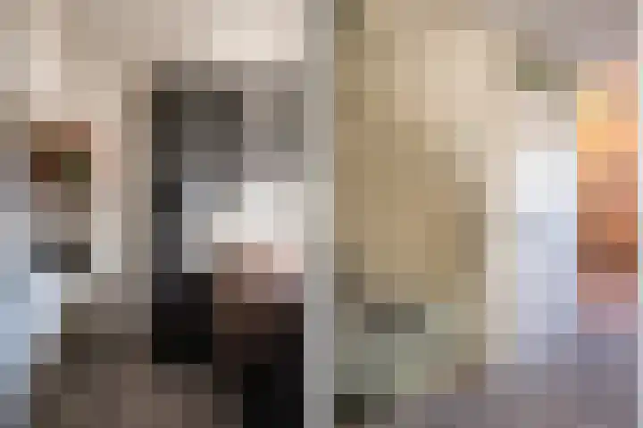 Grevelingen 34 Zwolle thumbnail 18