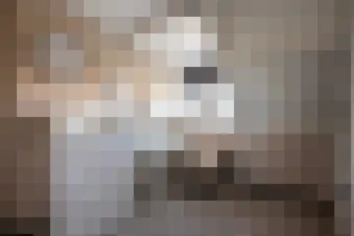 Grevelingen 34 Zwolle thumbnail 21