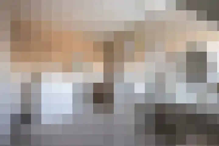 Grevelingen 34 Zwolle thumbnail 22