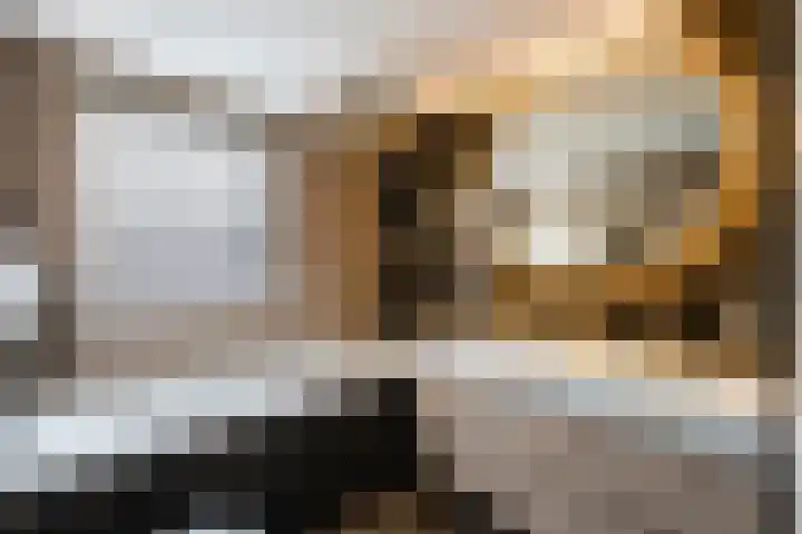 Grevelingen 34 Zwolle thumbnail 24