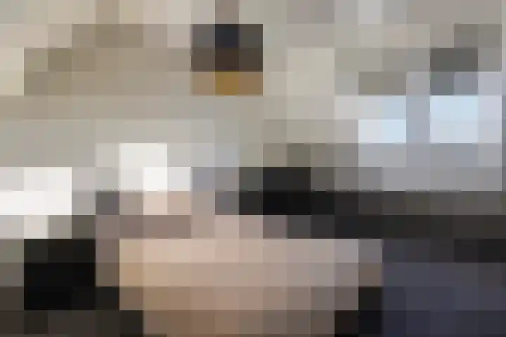 Grevelingen 34 Zwolle thumbnail 29