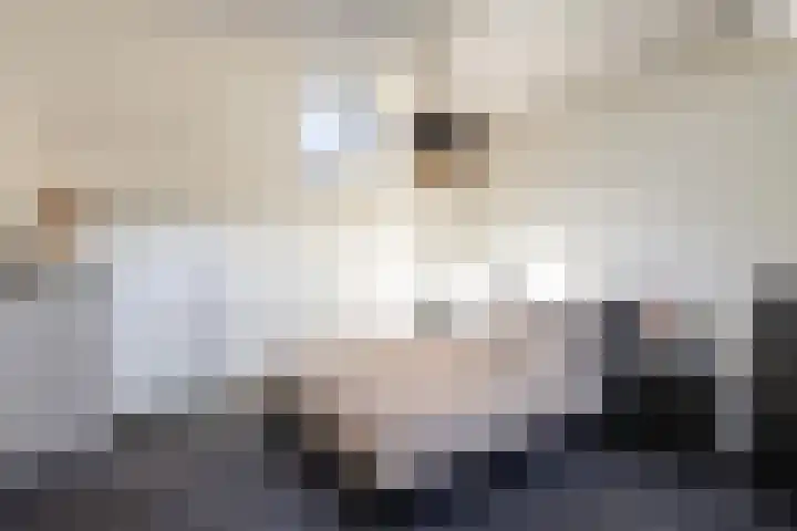 Grevelingen 34 Zwolle thumbnail 30