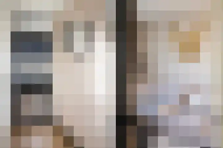 Grevelingen 34 Zwolle thumbnail 8