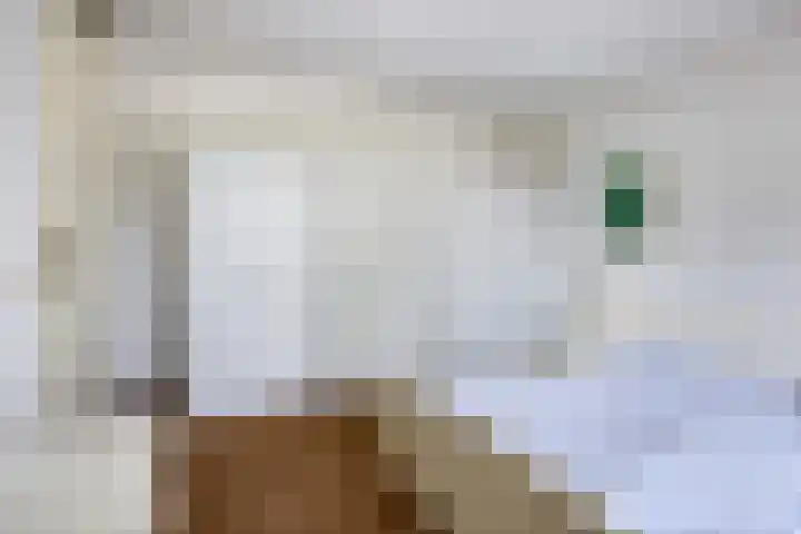 Grevelingen 35 Zwolle thumbnail 14