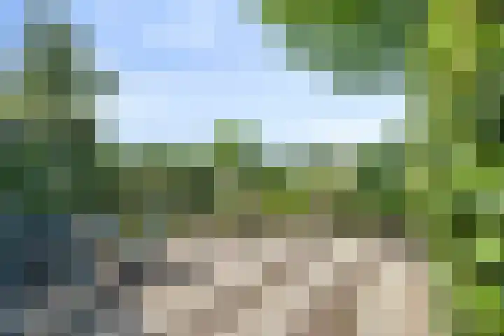Grevelingen 35 Zwolle thumbnail 26