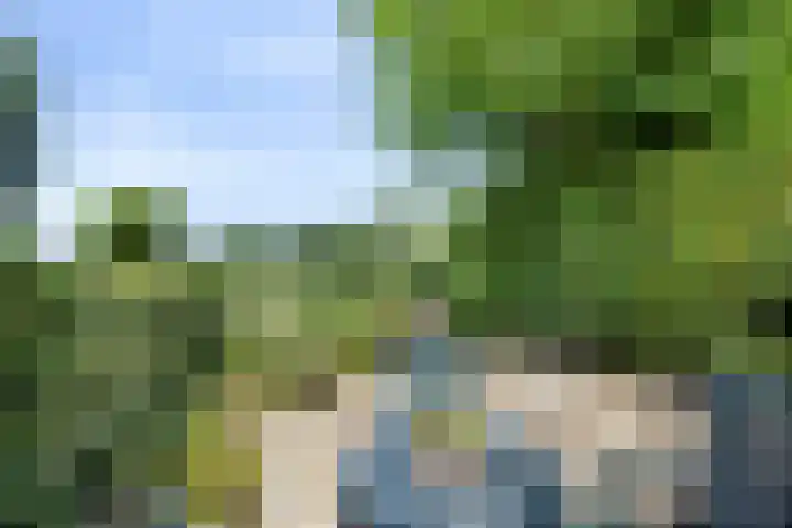 Grevelingen 35 Zwolle thumbnail 27