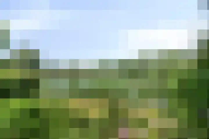 Grevelingen 35 Zwolle thumbnail 28