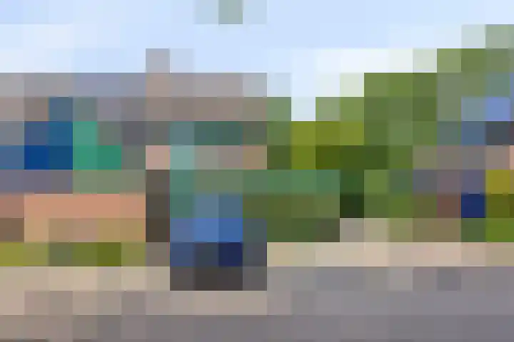 Grevelingen 35 Zwolle thumbnail 30