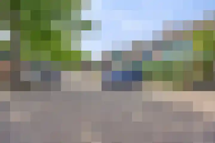 Grevelingen 35 Zwolle thumbnail 32