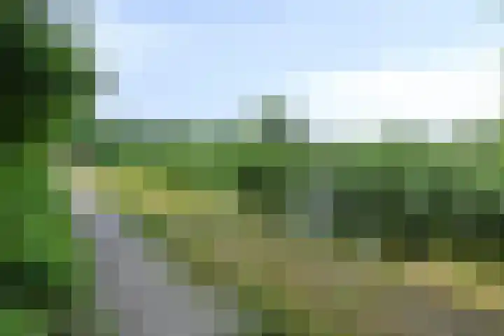Grevelingen 35 Zwolle thumbnail 33